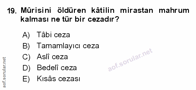 Soru 19