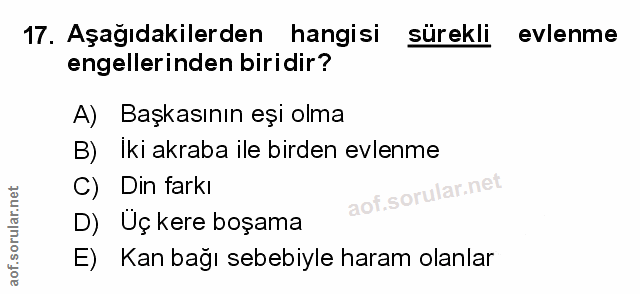 Soru 17