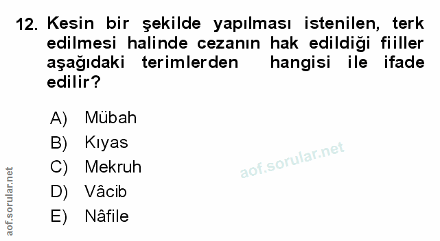 Soru 12
