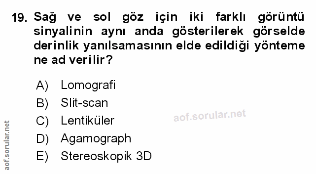 Soru 19