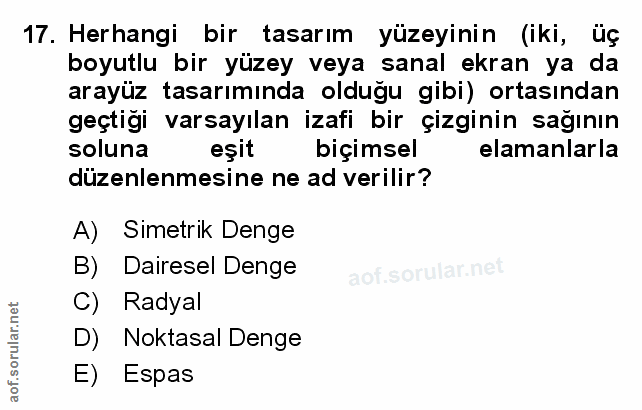 Soru 17