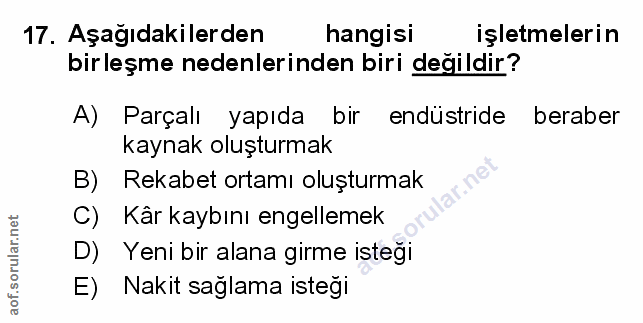 Soru 17