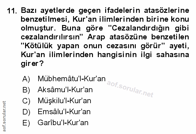 Soru 11
