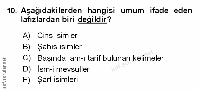Soru 10