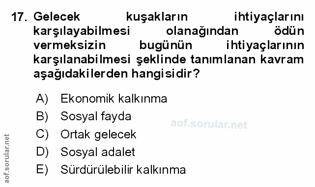 Soru 17