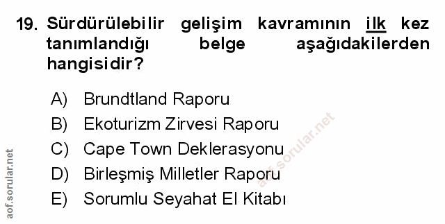 Soru 19