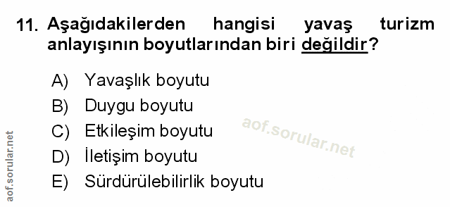 Soru 11