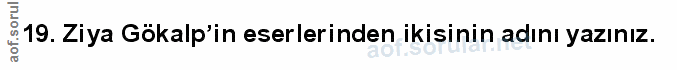 Soru 19