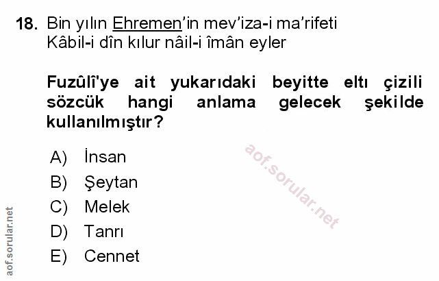 Soru 18