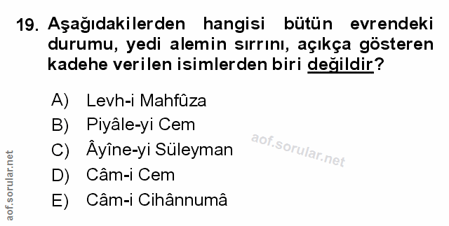 Soru 19