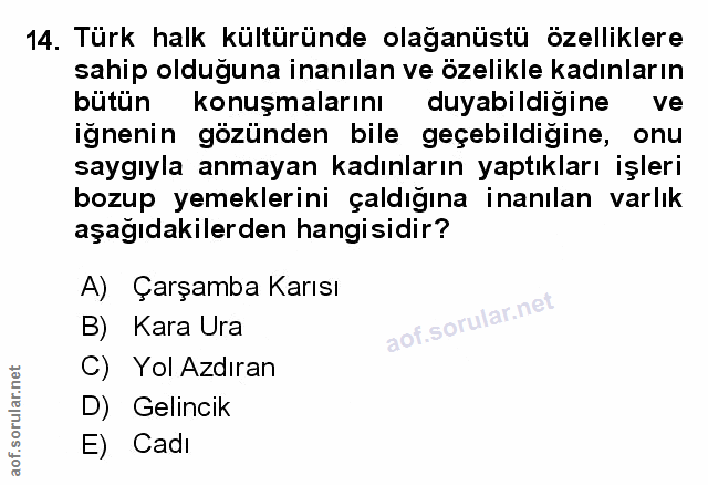 Soru 14