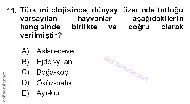 Soru 11