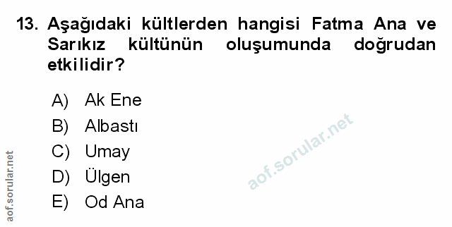 Soru 13