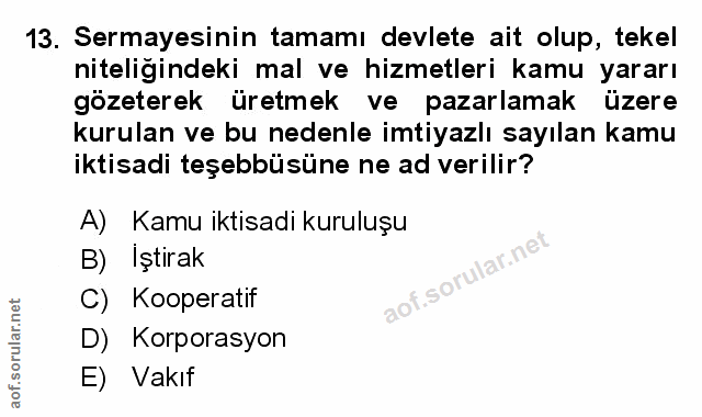 Soru 13