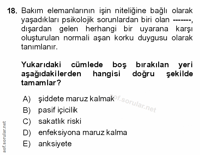 Soru 18