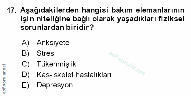 Soru 17
