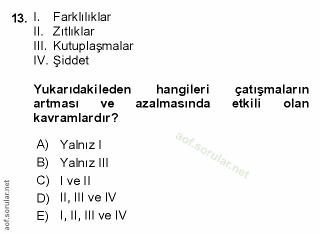 Soru 13