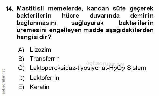 Soru 14