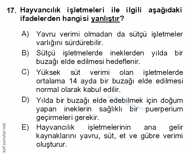 Soru 17