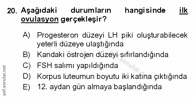 Soru 20