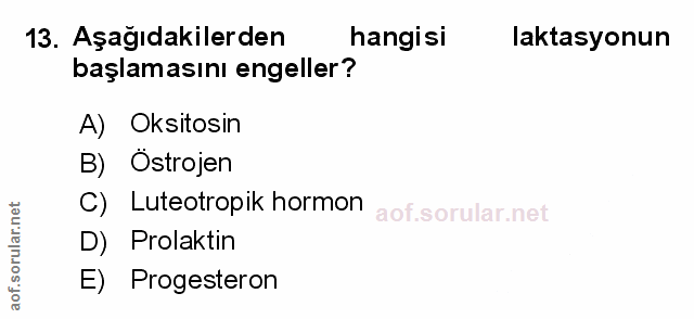 Soru 13