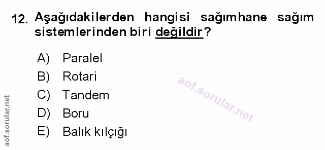 Soru 12