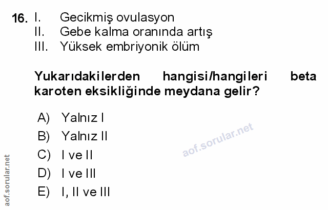 Soru 16