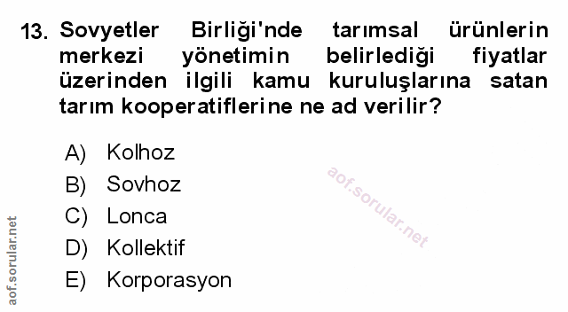 Soru 13