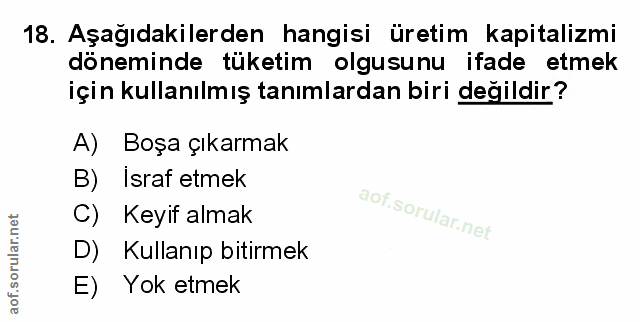 Soru 18