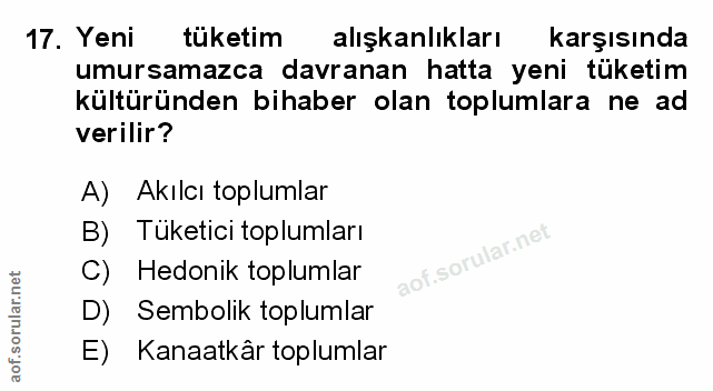 Soru 17