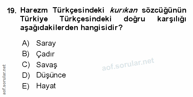 Soru 19