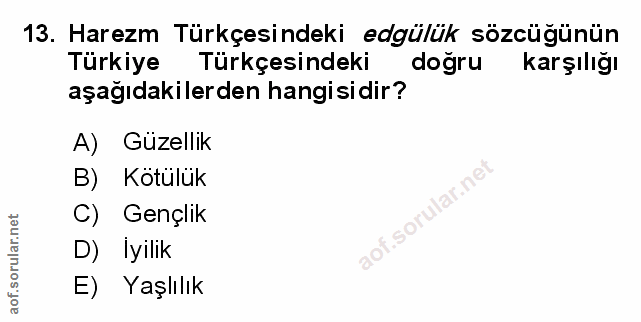 Soru 13