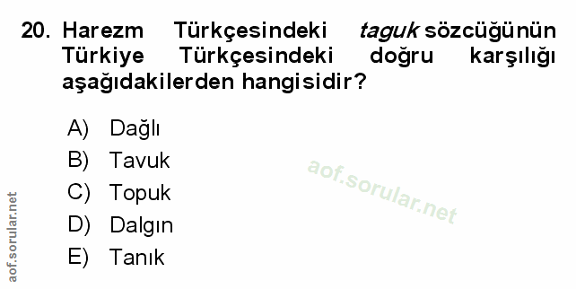 Soru 20