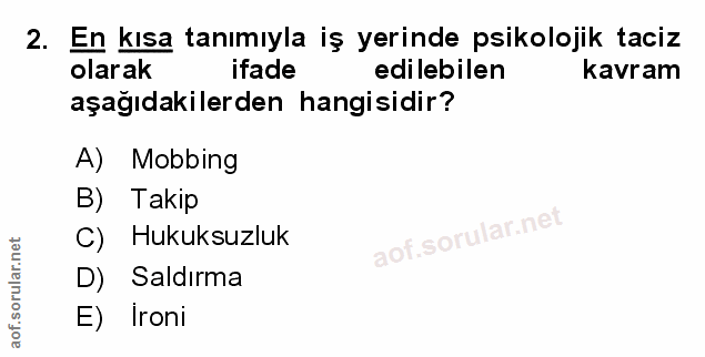 Soru 2