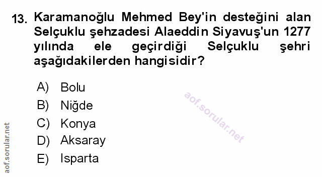 Soru 13