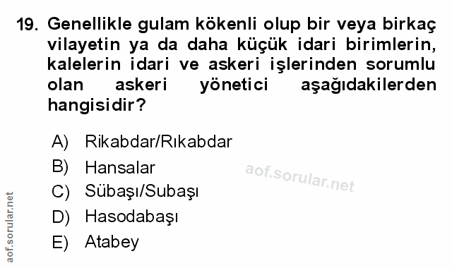 Soru 19