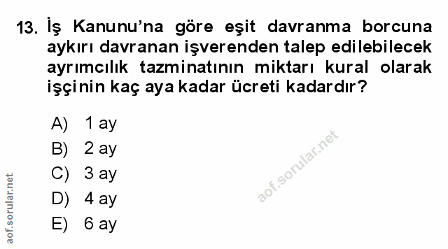 Soru 13