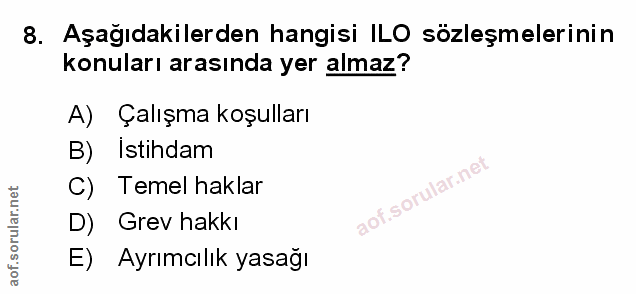 Soru 8