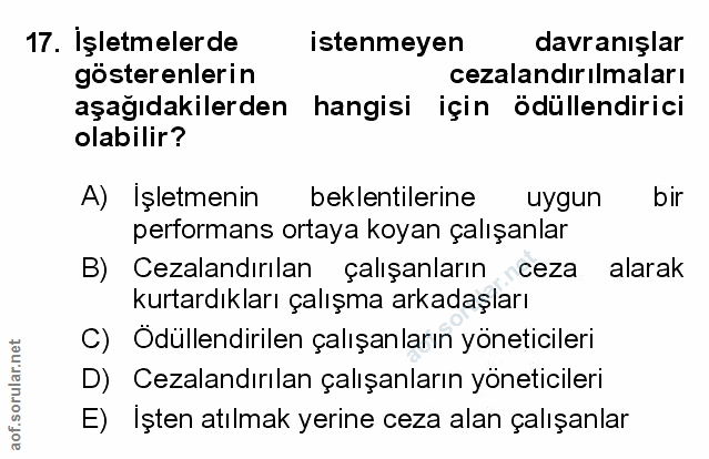 Soru 17