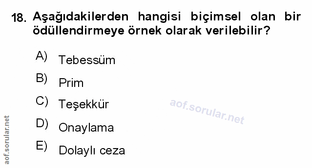Soru 18