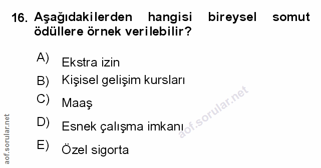 Soru 16