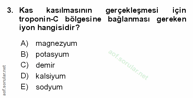 Soru 3