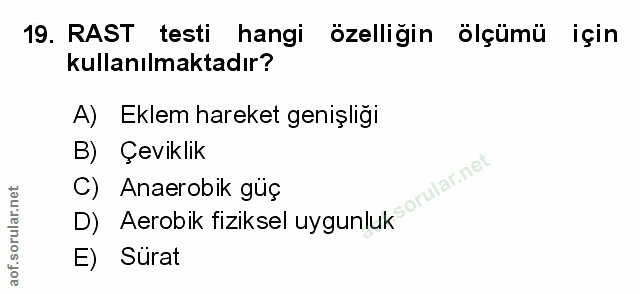 Soru 19