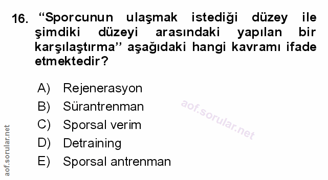 Soru 16