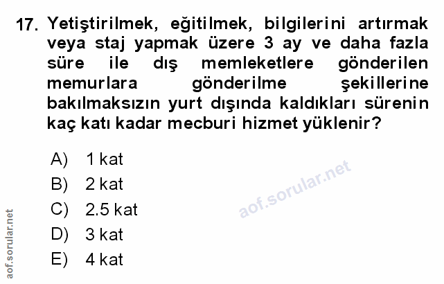 Soru 17