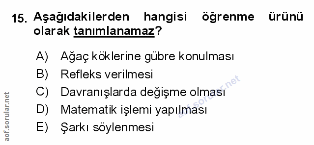 Soru 15