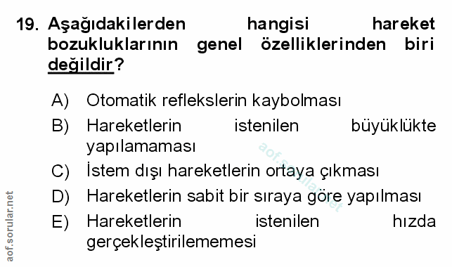 Soru 19