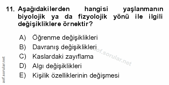 Soru 11