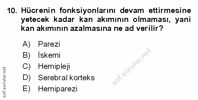 Soru 10