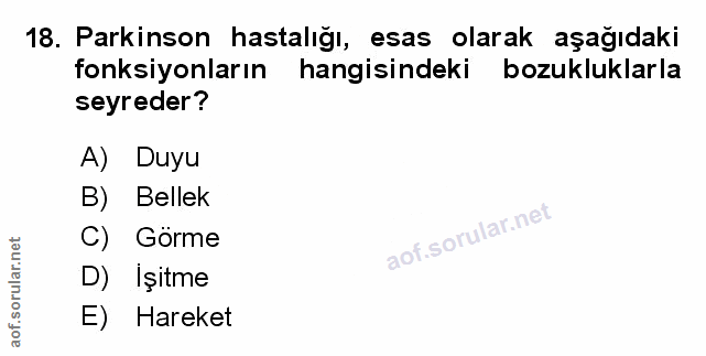 Soru 18